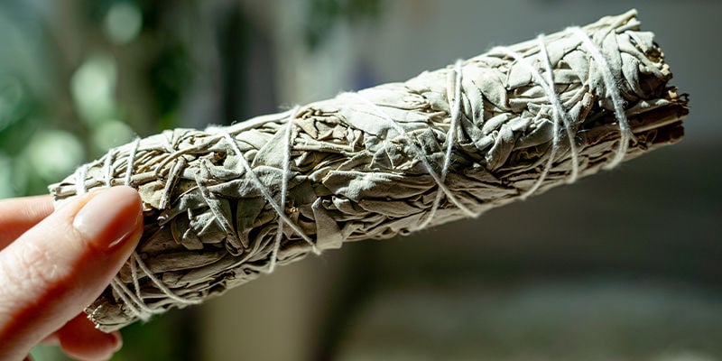 Un Prodotto Vegetale Come L'incenso Guide Complet Sur L'Encens : Origines, Types Et Bienfaits - Zamnesia